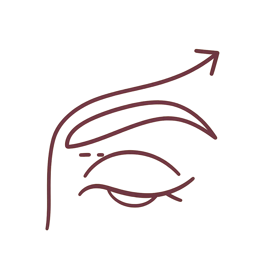 Brow Lift illustration