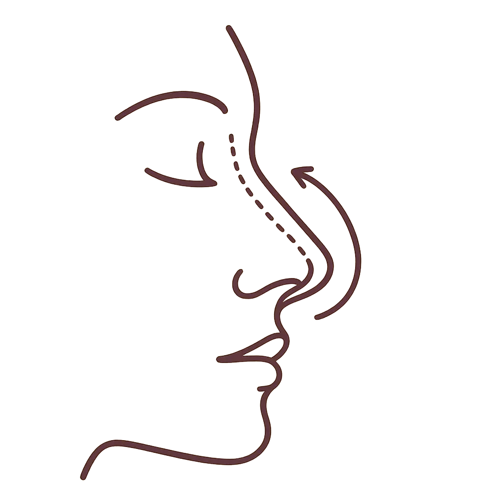 Rhinoplasty illustration